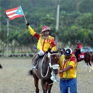 Meet your Posher, Hector